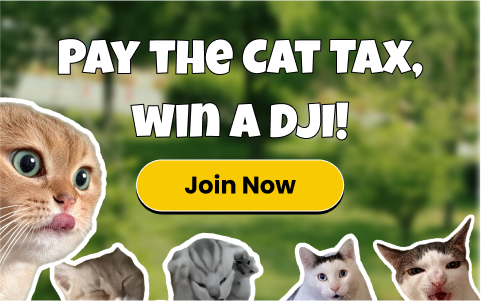 cattax activity
